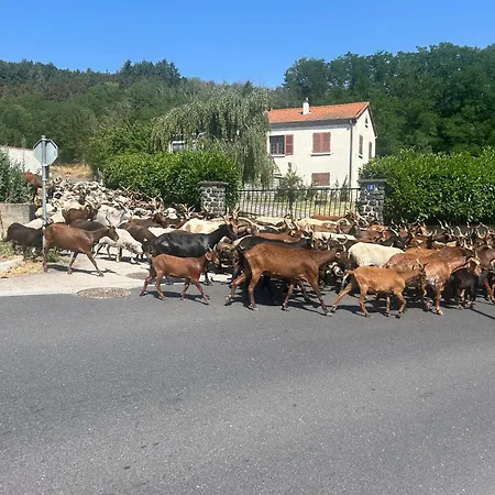 Du Viaduc 6 Personnes Langeac