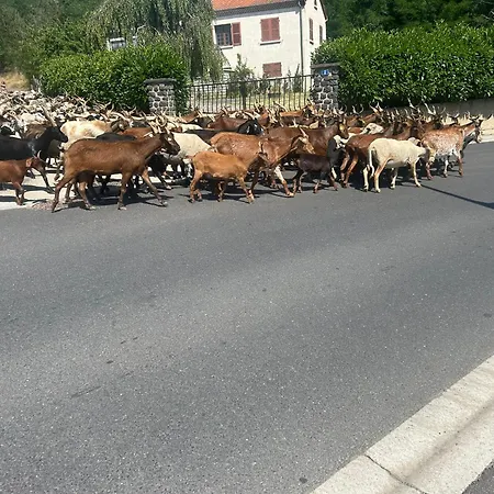 Du Viaduc 6 Personnes